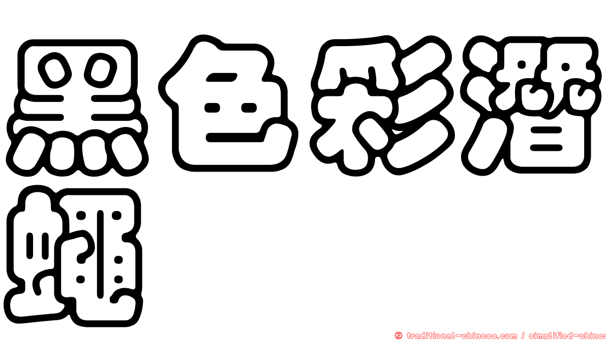 黑色彩潛蠅