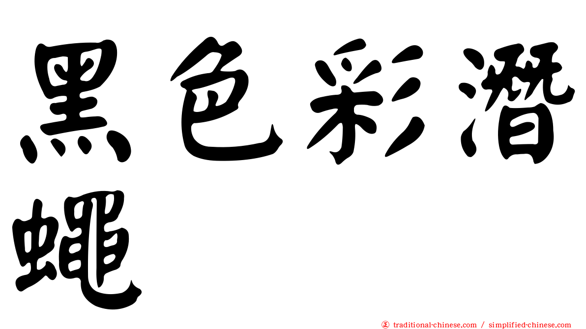 黑色彩潛蠅