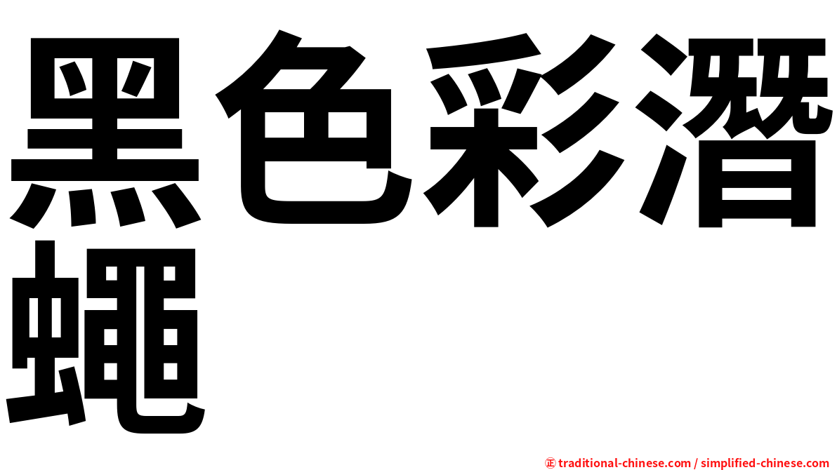 黑色彩潛蠅