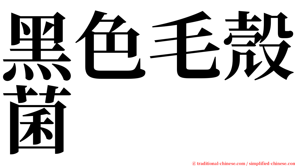 黑色毛殼菌 serif font