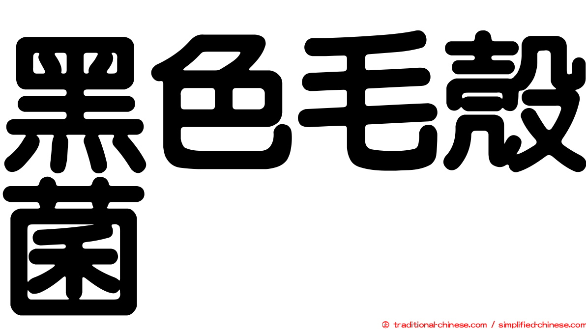 黑色毛殼菌