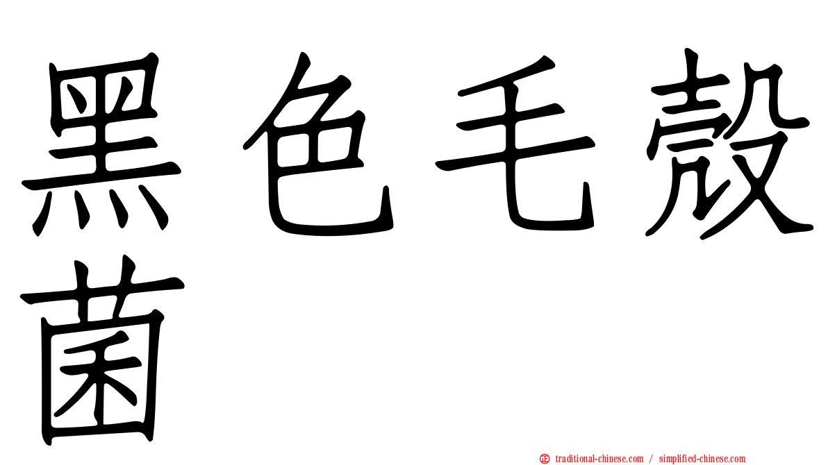 黑色毛殼菌