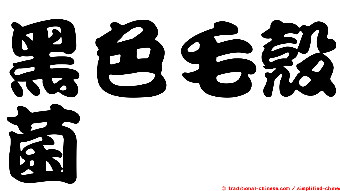 黑色毛殼菌