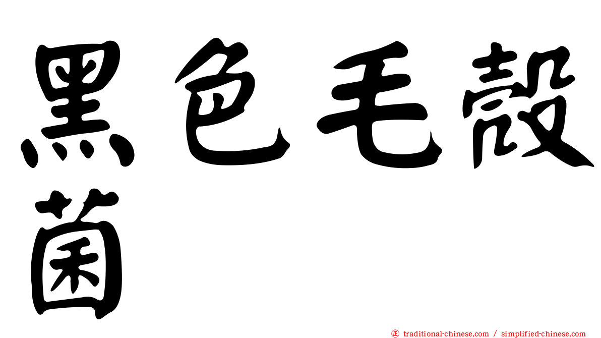黑色毛殼菌
