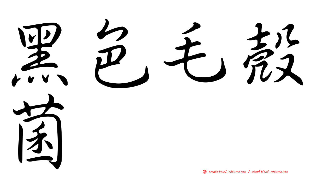 黑色毛殼菌