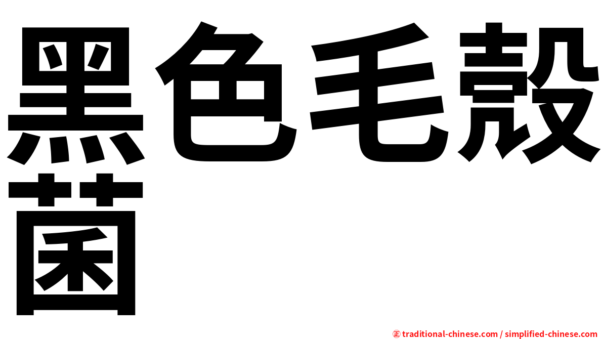 黑色毛殼菌