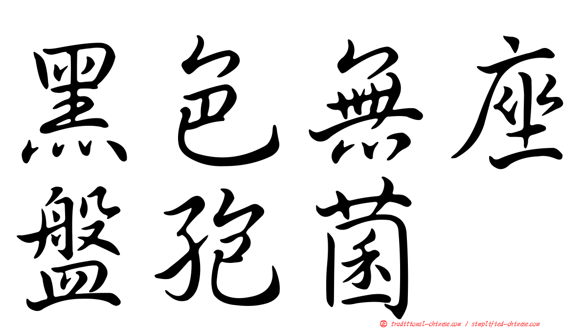 黑色無座盤孢菌