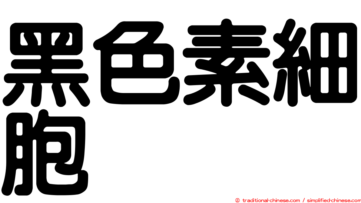 黑色素細胞