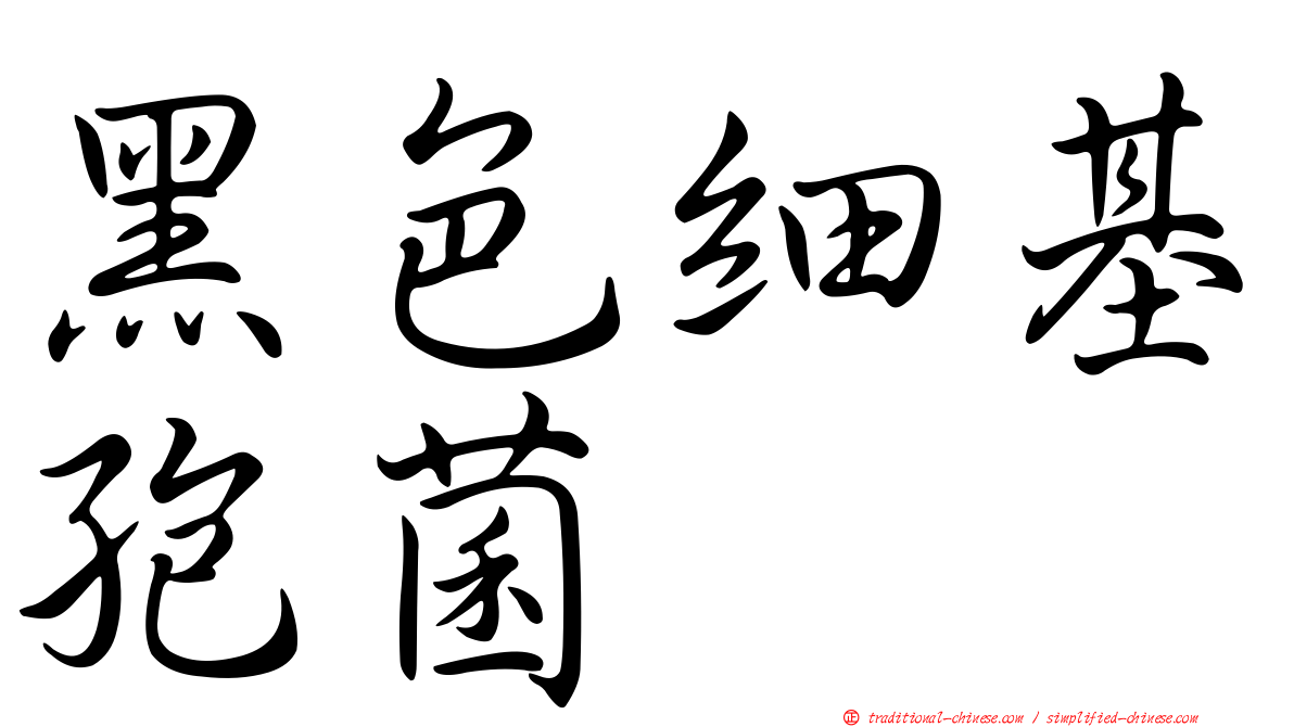黑色細基孢菌