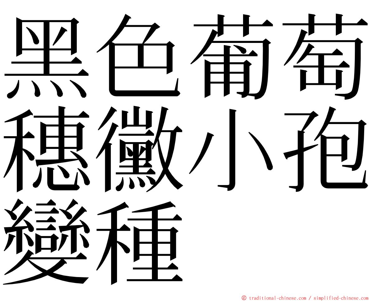 黑色葡萄穗黴小孢變種 ming font