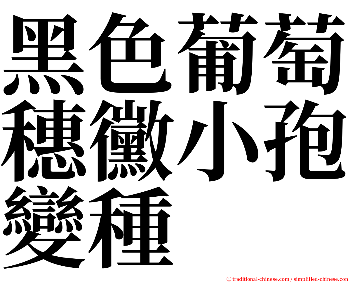 黑色葡萄穗黴小孢變種 serif font