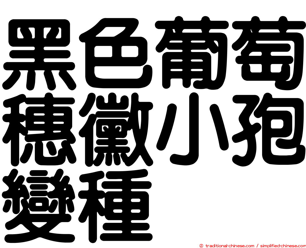 黑色葡萄穗黴小孢變種