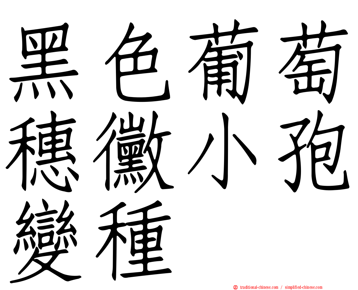 黑色葡萄穗黴小孢變種