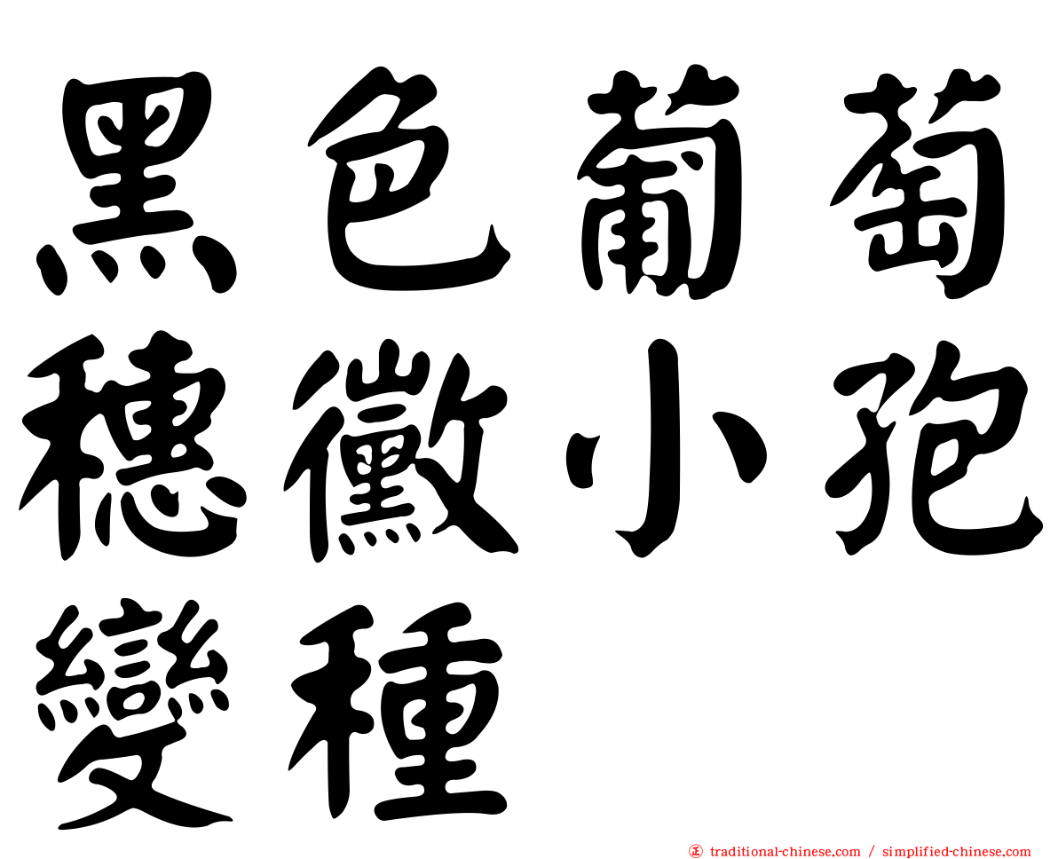 黑色葡萄穗黴小孢變種
