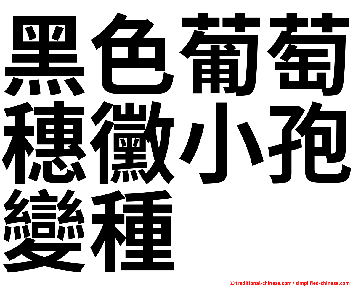 黑色葡萄穗黴小孢變種