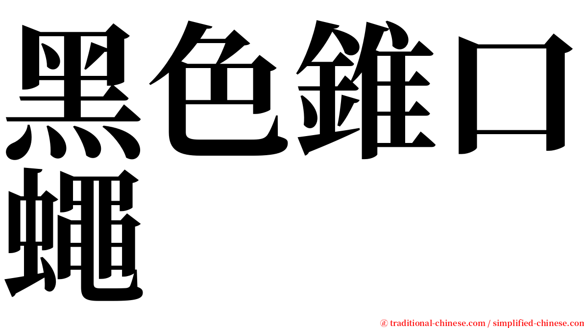 黑色錐口蠅 serif font