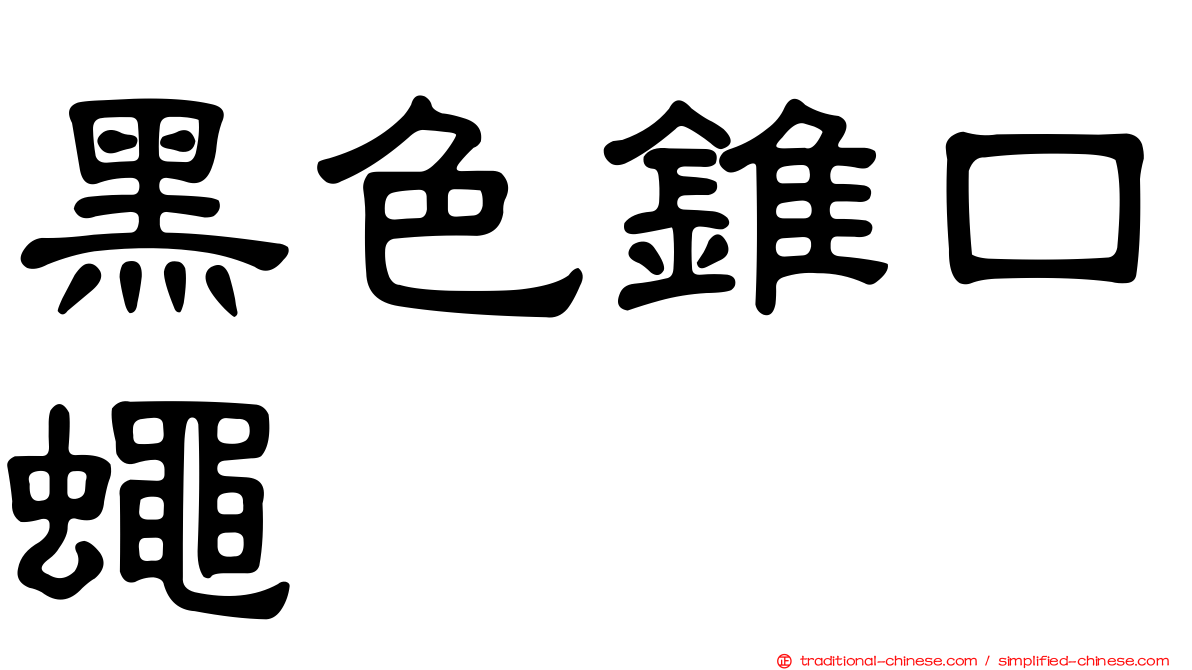 黑色錐口蠅