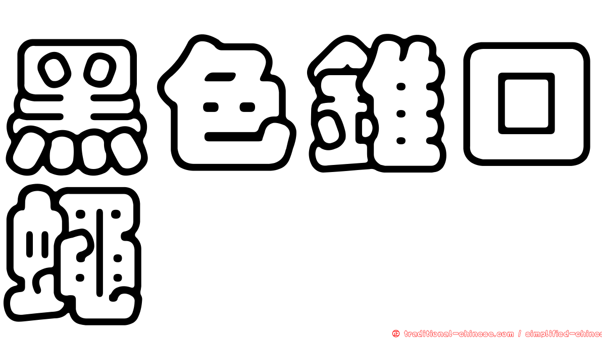 黑色錐口蠅