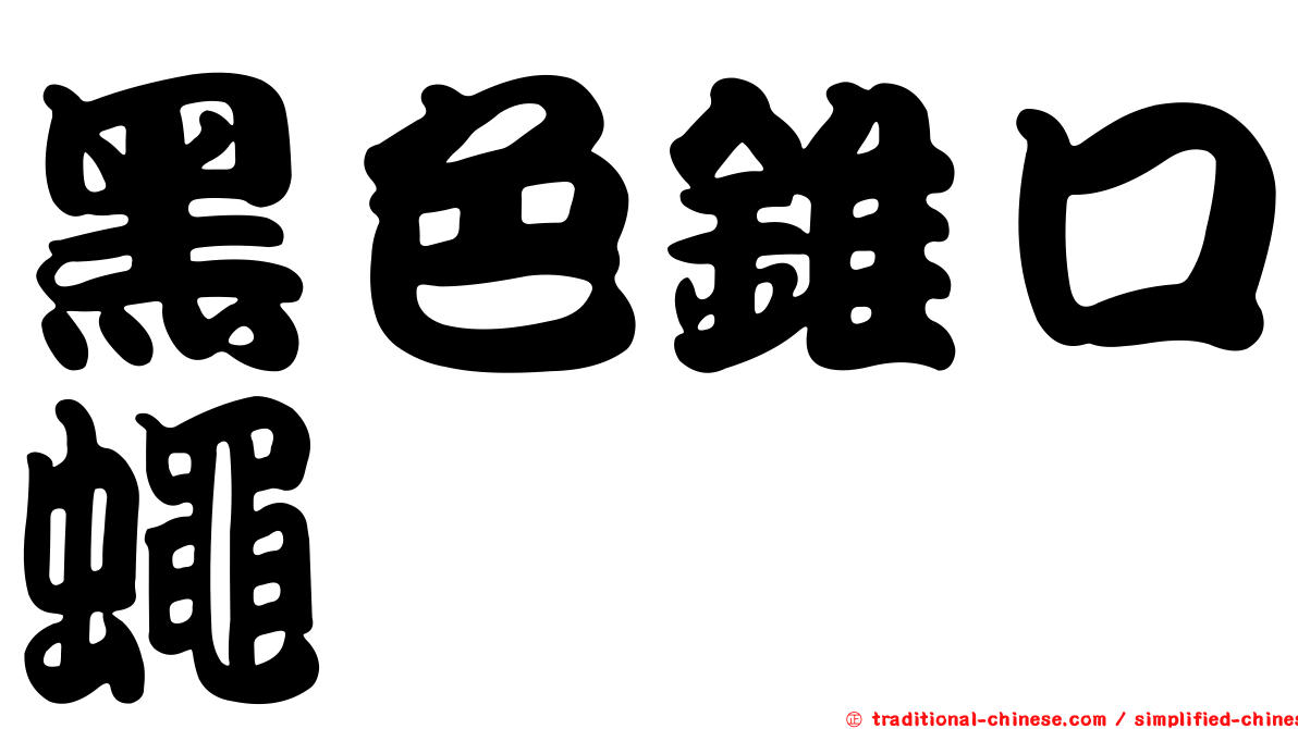 黑色錐口蠅