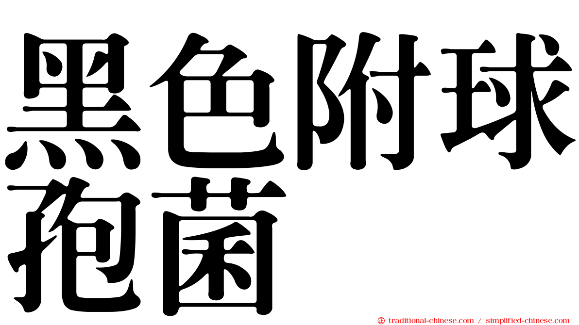 黑色附球孢菌