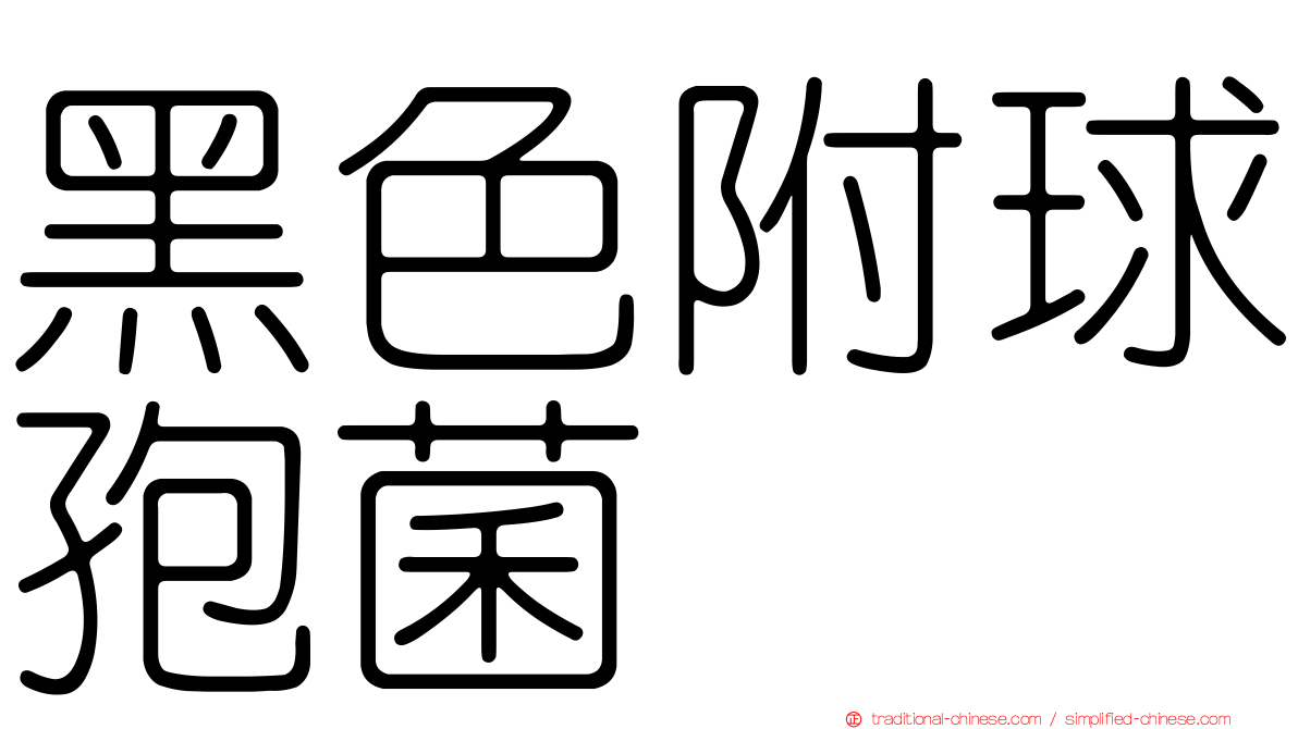 黑色附球孢菌