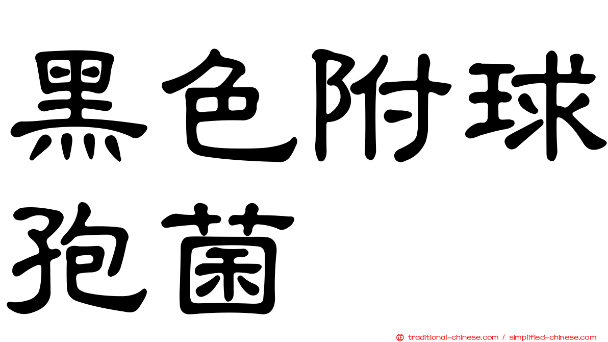 黑色附球孢菌