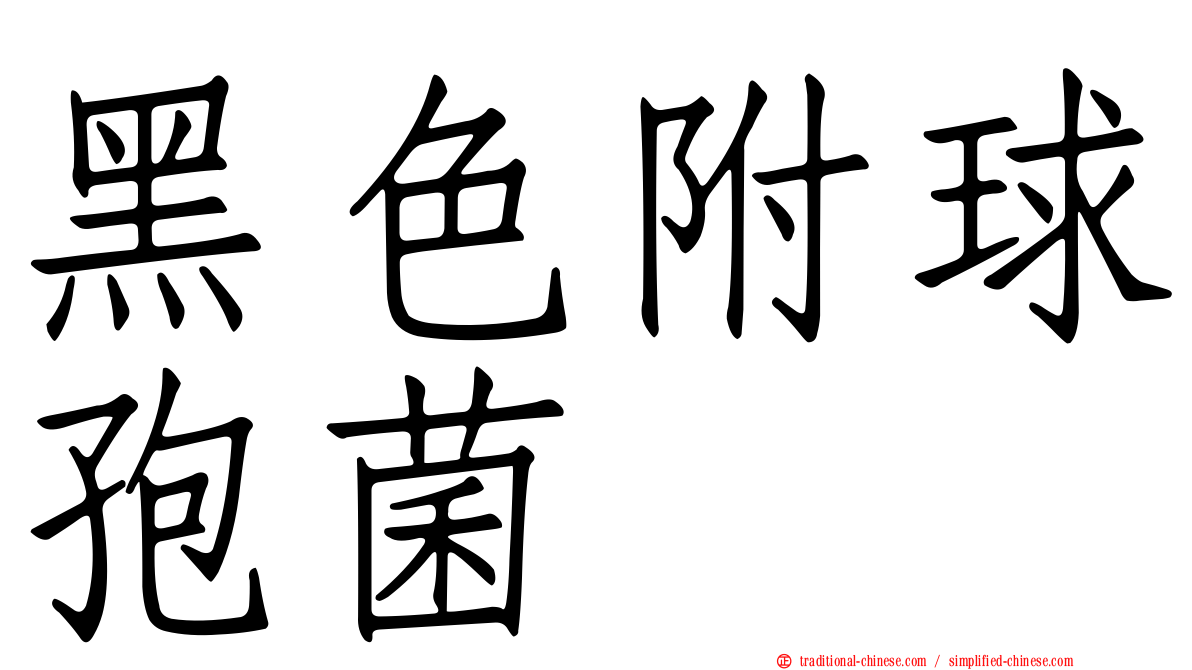 黑色附球孢菌