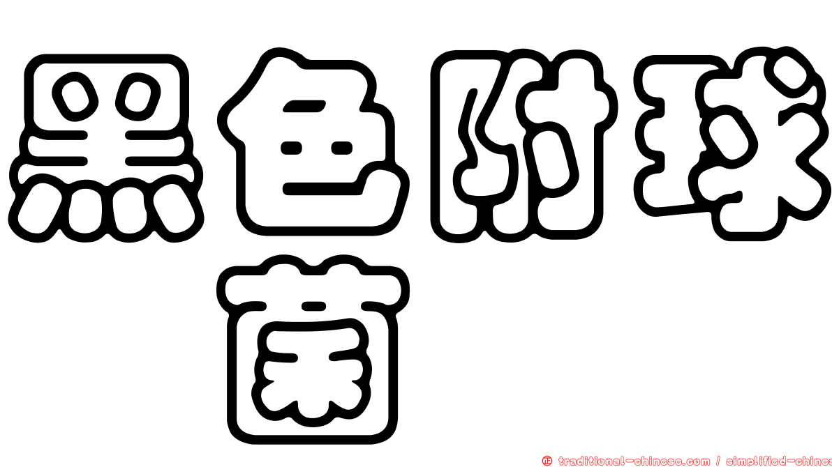 黑色附球孢菌