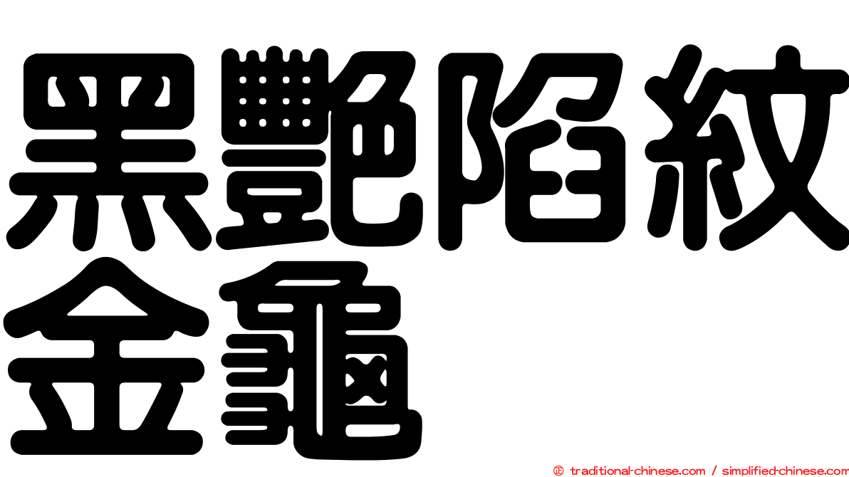黑艷陷紋金龜