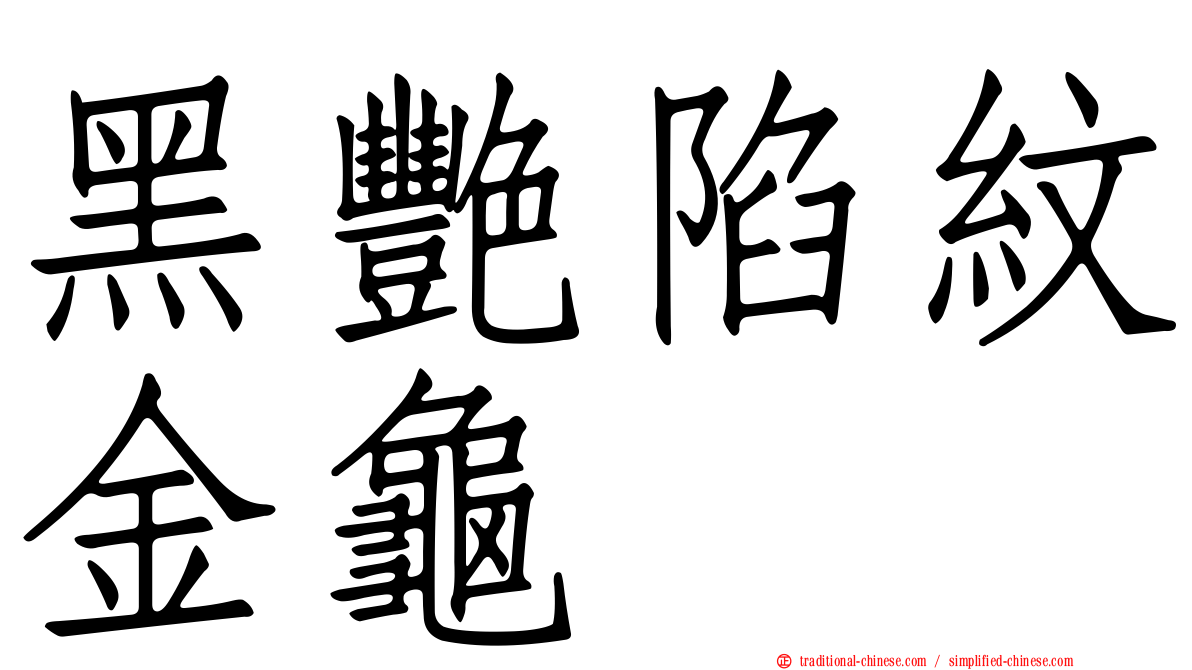 黑艷陷紋金龜
