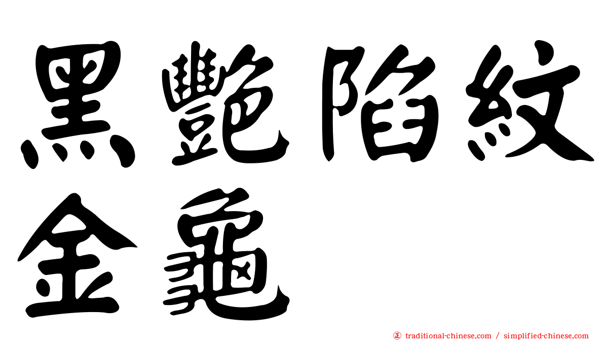 黑艷陷紋金龜