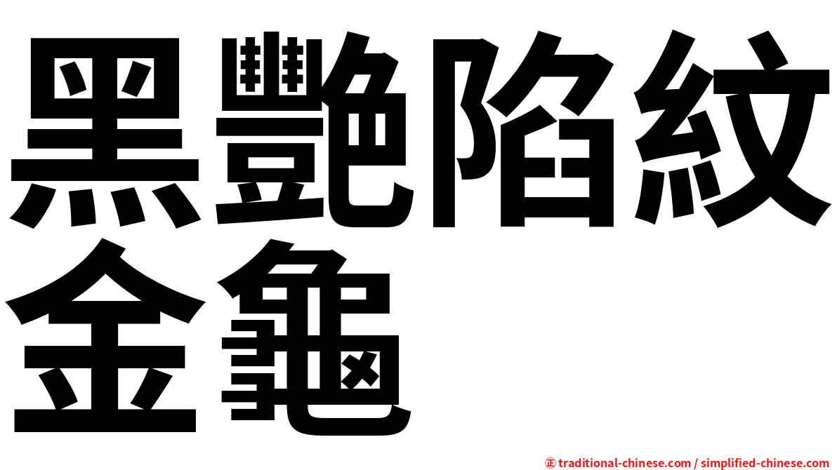 黑艷陷紋金龜