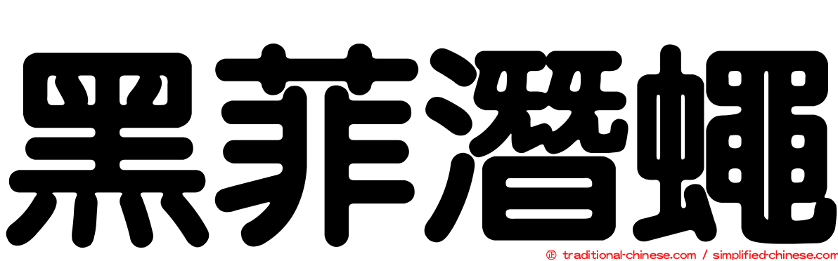黑菲潛蠅