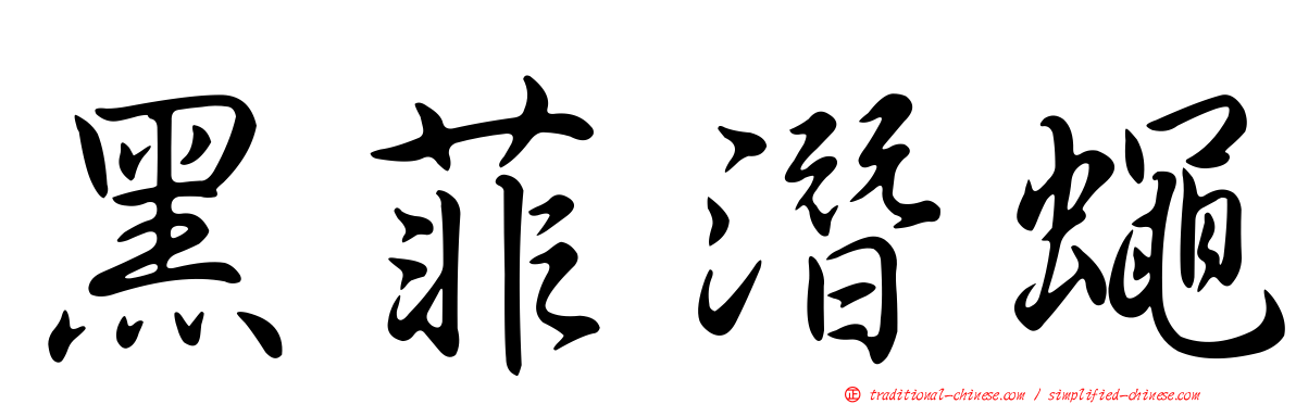 黑菲潛蠅