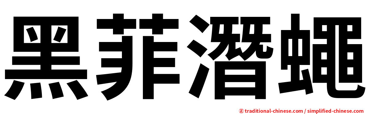 黑菲潛蠅