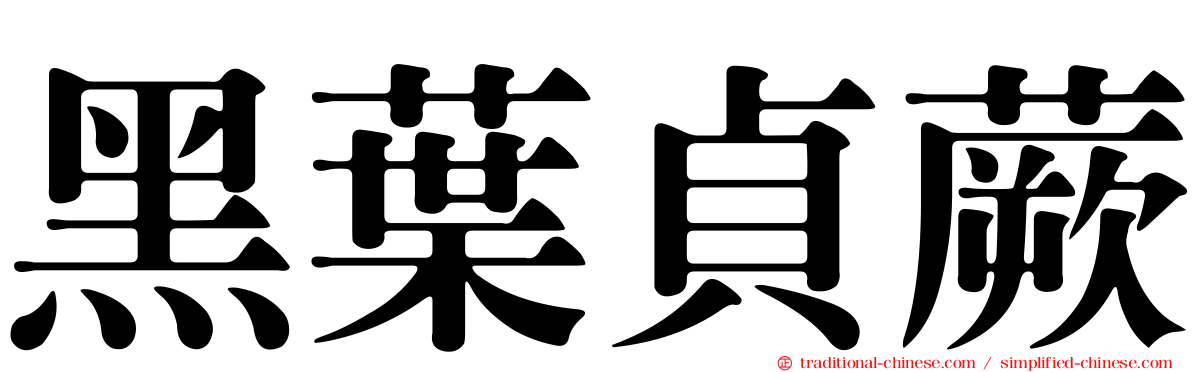 黑葉貞蕨