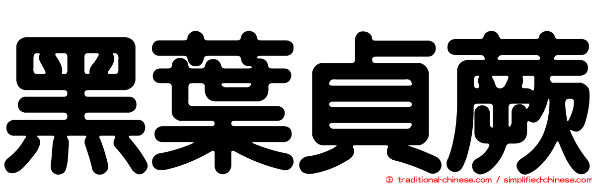 黑葉貞蕨