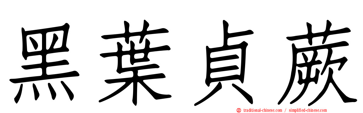 黑葉貞蕨
