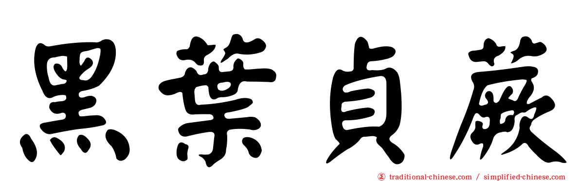黑葉貞蕨