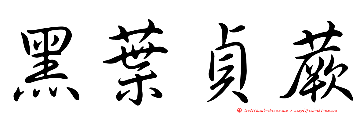 黑葉貞蕨