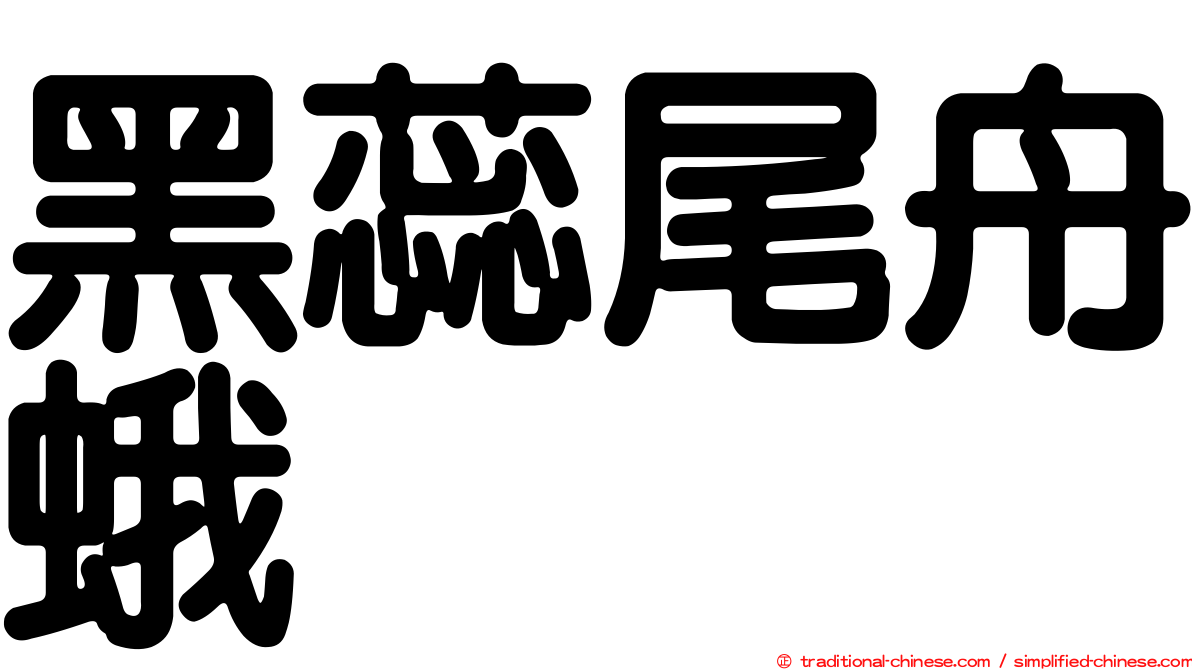 黑蕊尾舟蛾