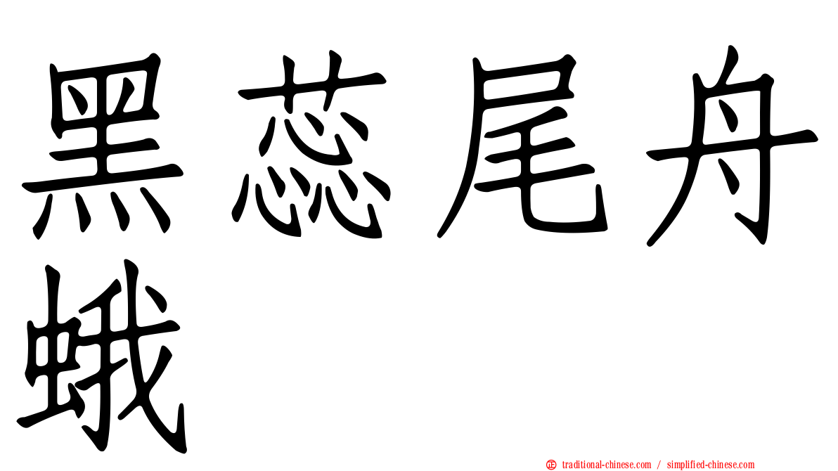 黑蕊尾舟蛾