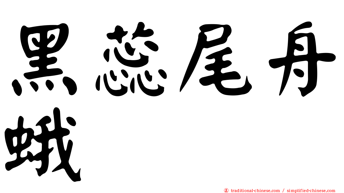 黑蕊尾舟蛾
