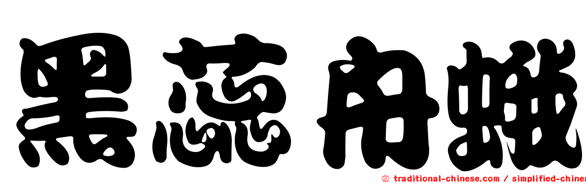 黑蕊舟蛾