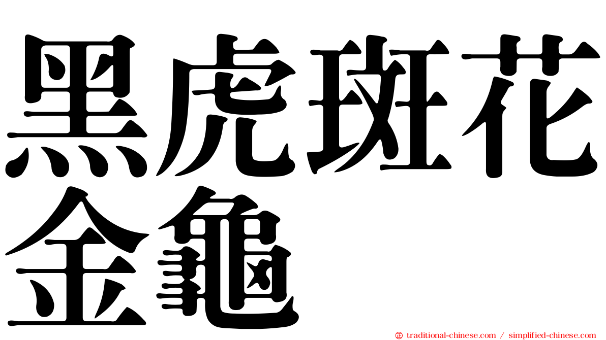 黑虎斑花金龜