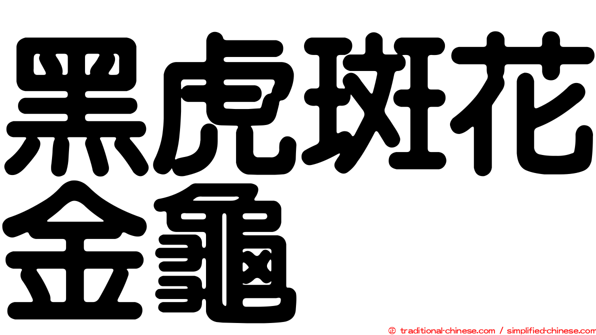 黑虎斑花金龜