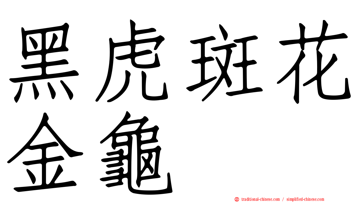 黑虎斑花金龜