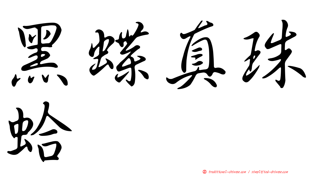 黑蝶真珠蛤