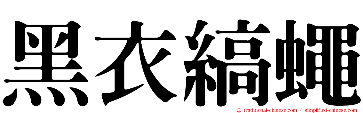 黑衣縞蠅