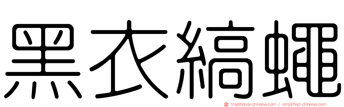 黑衣縞蠅